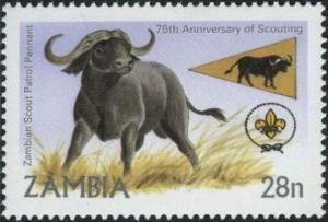 Colnect-3431-666-African-Buffalo-Syncerus-caffer.jpg