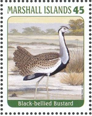 Colnect-3671-483-Black-bellied-Bustard--Lissotis-melanogaster.jpg