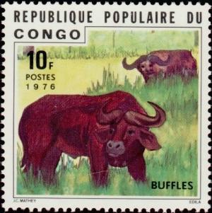 Colnect-3683-518-African-Buffalo-Syncerus-caffer.jpg