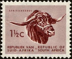 Colnect-4014-582-Africander-Bull-Bos-primigenius-taurus.jpg