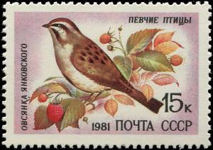 Colnect-4832-996-Jankowski-s-Bunting-Emberiza-jankowskii.jpg