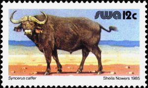 Colnect-5211-080-African-Buffalo-Syncerus-caffer.jpg