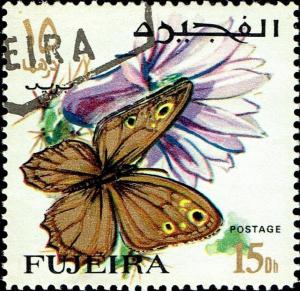 Colnect-5281-782-Nymphalid-Butterfly-Eumenis-tewfiki.jpg