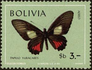 Colnect-5491-646-Cattleheart-Butterfly-Papilio-yuracares.jpg