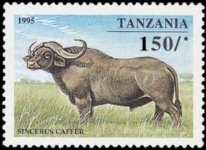 Colnect-5513-405-African-Buffalo-Syncerus-caffer.jpg