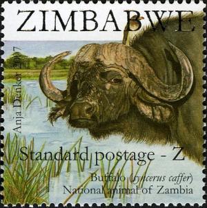 Colnect-555-323-African-Buffalo-Syncerus-caffer.jpg