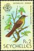 Colnect-1721-618-Seychelles-Bulbul%C2%A0Hypsipetes-crassirostris.jpg