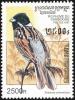 Colnect-1527-000-Common-Reed-Bunting-Emberiza-schoeniclus.jpg