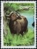 Colnect-783-893-African-Buffalo-Syncerus-caffer.jpg