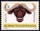 Colnect-1011-675-African-Buffalo-Syncerus-caffer.jpg