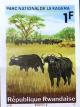 Colnect-1445-710-African-Buffalo-Syncerus-caffer.jpg