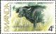 Colnect-1543-333-African-Buffalo-Syncerus-caffer.jpg