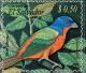 Colnect-3781-725-Painted-Bunting-Passerina-ciris.jpg