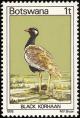 Colnect-597-719-Black-Bustard-Afrotis-atra.jpg