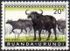 Colnect-964-491-African-Buffalo-Syncerus-caffer.jpg