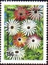 Colnect-1894-394-Mesembyranthemum-sparkles.jpg