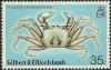 Colnect-1103-603-Ghost-Crab-Ocypode-ceratophthalma.jpg