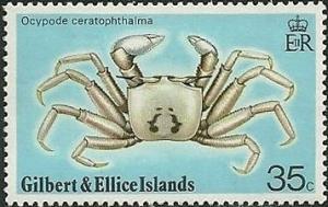 Colnect-1103-603-Ghost-Crab-Ocypode-ceratophthalma.jpg