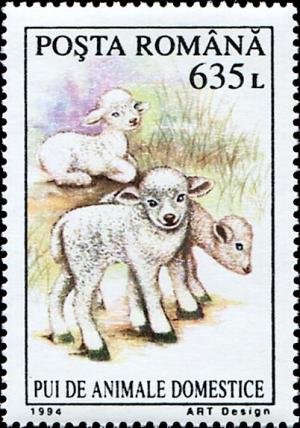 Colnect-4918-782-Lamb-Ovis-ammon-aries.jpg