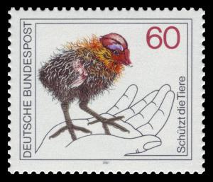 DBP_1981_1102_Tierschutz_Bl%25C3%25A4%25C3%259Fhuhn_K%25C3%25BCken.jpg