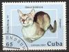 Colnect-1118-263-Singapore-Cat-Felis-silvestris-catus.jpg