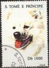 Colnect-1272-098-Spitz-Canis-lupus-familiaris.jpg