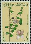 Colnect-2189-749-Capparis-spinosa.jpg