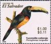 Colnect-2230-638-Collared-Aracari-Pteroglossus-torquatus.jpg