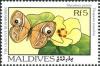 Colnect-2485-181-Gladeye-Bushbrown-Mycalesis-patnia-Portia-Tree-Thespesia.jpg