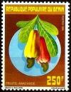 Colnect-2883-748-Anacardium-occidentale.jpg