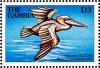 Colnect-3505-626-Brown-Pelican-Pelecanus-occidentalis.jpg