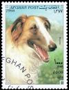 Colnect-3515-679-Borzoi-Canis-lupus-familiaris.jpg