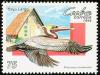 Colnect-3547-634-Brown-Pelican-Pelecanus-occidentalis.jpg