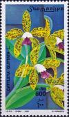 Colnect-4383-054-Cattleya-guttata.jpg