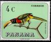 Colnect-790-771-Red-necked-Aracari-Pteroglossus-bitorquatus.jpg