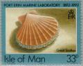 Colnect-124-864-Great-Scallop-Pecten-maximus.jpg