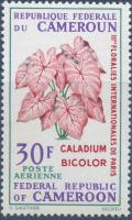 Colnect-2154-374-Caladium-bicolor.jpg