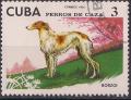 Colnect-2212-755-Borzoi-Canis-lupus-familiaris.jpg