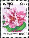 Colnect-2367-157-Camellia-hybrid.jpg