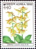 Colnect-2744-467-Calanthe-striata.jpg