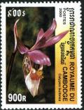 Colnect-3025-448-Calypso-bulbosa.jpg