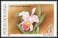 Colnect-3197-915-Cattleya-trianae.jpg