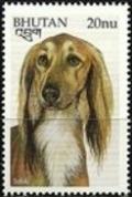 Colnect-3377-298-Saluki-Canis-lupus-familiaris.jpg