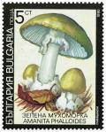 Colnect-3509-615-Death-cap-Amanita-phalloides.jpg