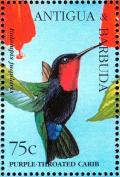 Colnect-4116-639-Purple-throated-Carib%C2%A0%C2%A0%C2%A0%C2%A0Eulampis-jugularis.jpg