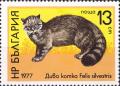 Colnect-4207-487-Wildcat-Felis-silvestris.jpg