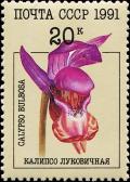 Colnect-4855-287-Calypso-bulbosa.jpg