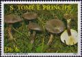 Colnect-5557-009-Calocybe-ionides.jpg