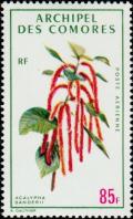 Colnect-791-285-Acalypha-sanderii.jpg