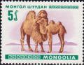 Colnect-882-751-Bactrian-Camel-Camelus-bactrianus.jpg